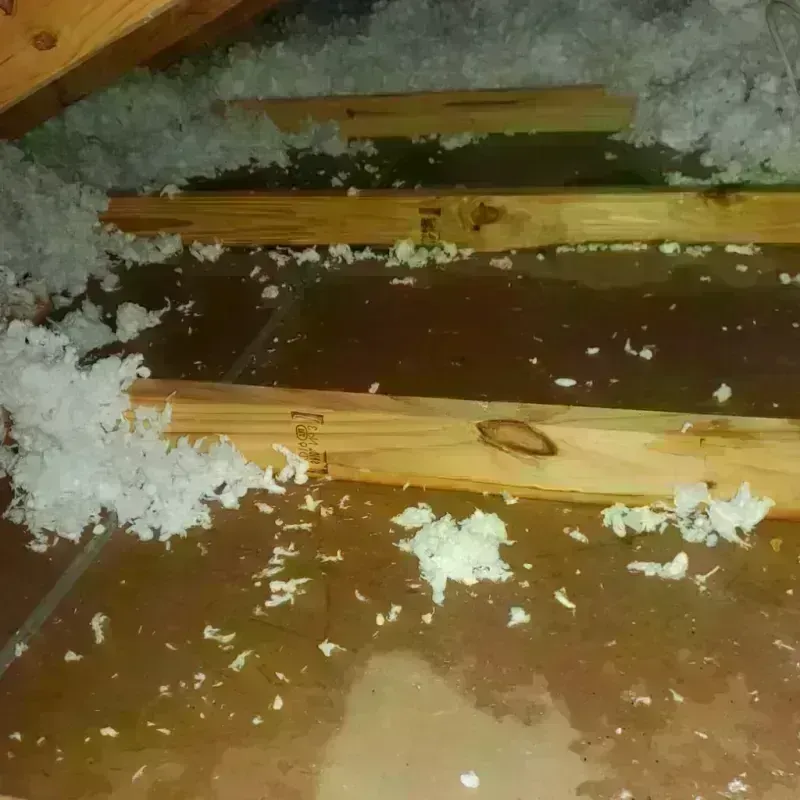 Attic Water Damage in Ledyard, CT